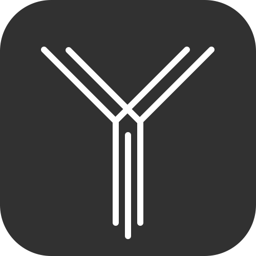 MasterYi